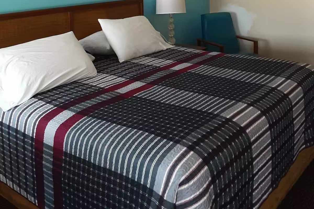 Room, 1 King Bed